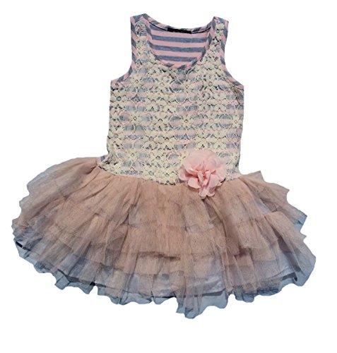 ZUNIE Little Girl's Stripe Lace Flower Tutu Ruffle Dress Grey Pink (6)
