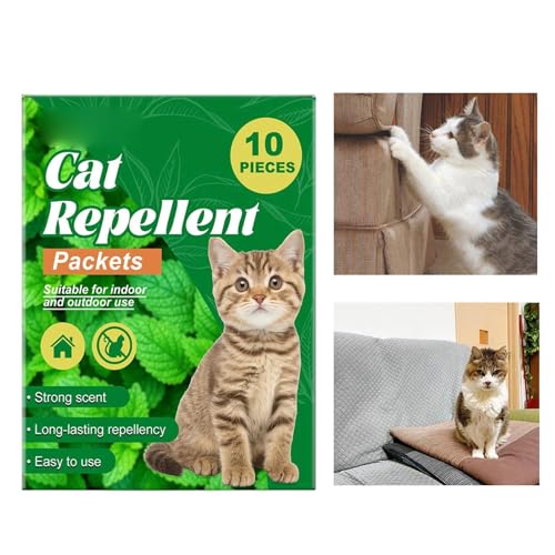 Lpg[jO⏕,10̍sg[jO⏕ | OLpoA - qLAK[fŐ[hp