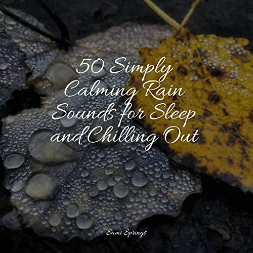 Play 50 Simply Calming Rain Sounds for Sleep and Chilling Out by Sounds ...