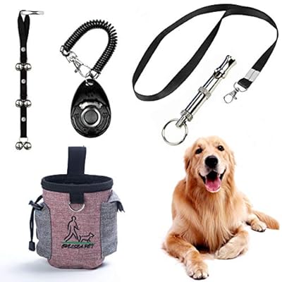 blind dog accessories