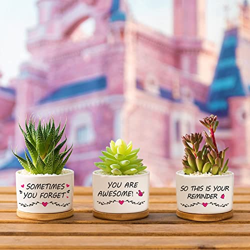 Inspirational Gifts For Women, Mother's Gifts Birthday Gift For Women Ideas Gardening Gifts For Friends Mom Sister - You Are Awesome -Home Decor Planter Succulent Pots #TOP6