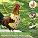 Frienda 2 Pcs Adjustable Chicken Harness and Leash Set Spring Summer Comfortable Elastic Hen Vest Breathable Harness for Hens Duck Goose Pet Training Walking Supplies(Pineapple, Strawberry,Small)