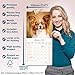 Papillon 2026 Calendar | Square Wall Calendar | Dog Breed Gift | Plastic Free Packaging | by Avonside Publishing