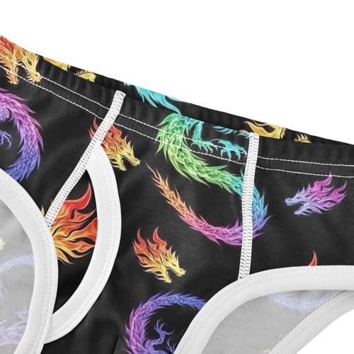 CHIFIGNO Boys' Underwear Cotton Briefs Soft Breathable Little Boys Underwear Briefs, Colorful Dragons Black4