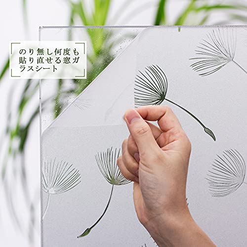 Image of CottonColors Window Film, Blindfold Sheet, Window Glass Film, Stained Glass, Repositionable, UV Protection, 35.4 x 78.7 inches (90 x 200 cm), No Glue DIY 055 Dandelion