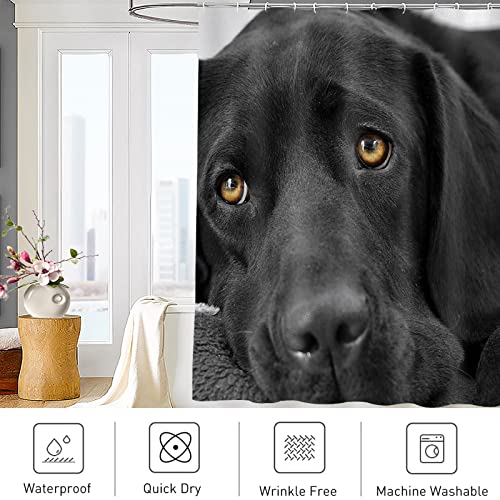 Abaysto Black Dog Shower Curtain Lab Labrador Retriever Dog Bathroom Decor Polyester Fabric Shower Curtain Sets With Hooks Great Gift, 60X72 Inch #TOP2