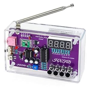 Lolpalone 017B DIY Baustellenradio