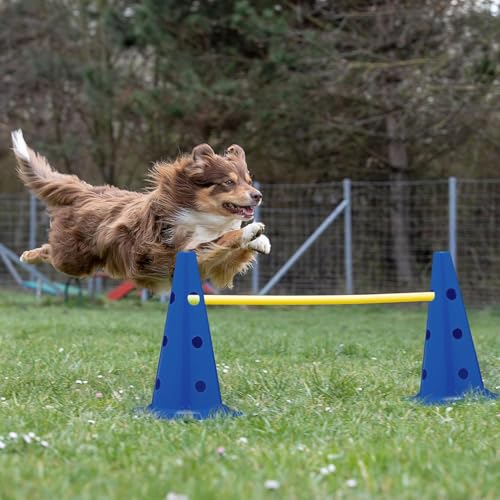 CANNON Juego Set Vallas de Entrenamiento de coordinación de Altura Regulable, Circuito Agilidad de 15 Piezas, 10 Conos Azules 23cm y 5 Picas de 100cm. - imagen 7