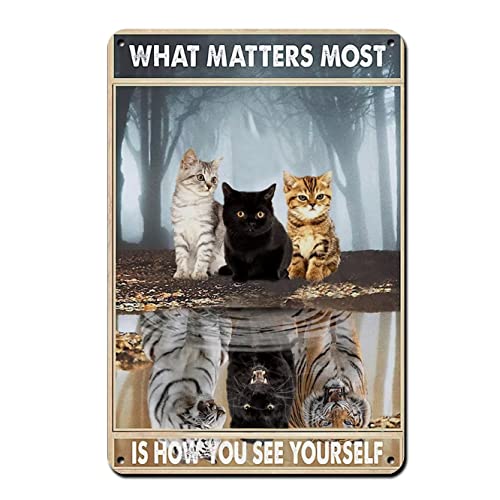 Licpact Black Cute Cat Metal Retro Tin Sign-What Matters Most Is How You See Yourself-Vintage Inspirational Sign For Home Coffee Wall Decor Cafe Decorative Wall Signs Motivational Wall Art 8X12 Inch #TOP2