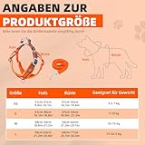 Hundegeschirr mit Hundeleine Set, Air-Mesh Atmungsaktiv Brustgeschirr für Kleine, Mittelgroße Hunde & Welpen, Weich Gepolstert Einstellbar Reflektierend Geschirr (Orange, XS)
