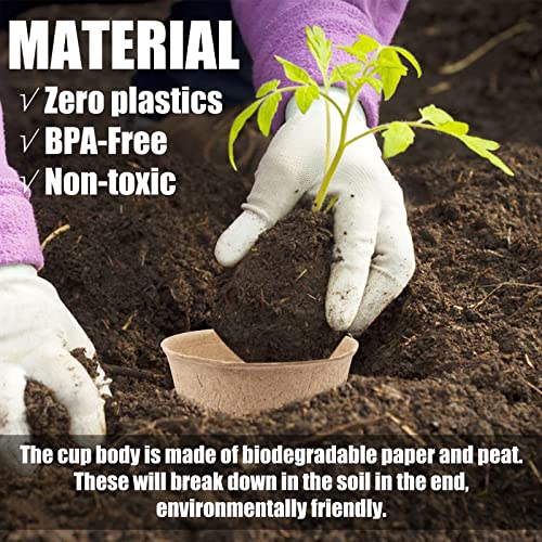 Midelong 20 Pcs 3.2 Inch Peat Pots, Seedling Starter Tray Biodegradable Peat Pots With 10 Plant Lables For Vegetable Tomato Herb Seed Germination #TOP4