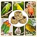 PINVNBY 6 PCS Parrot Treats Natural Grains Cockatiel Treats Bowl Shape Budgie Snacks Edible Bird Chewing Toys for Parrots Parakeet Conure Lovebird Finch Canary
