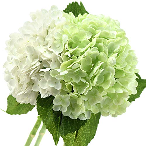 Fiveseasonstuff Real Touch Silk Hydrangea Flowers, 2 Large Long Stem Artificial Flowers For Floral Arrangements (Mixed Summer White & Spring Green) #TOP15