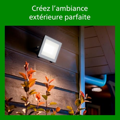 Projecteur extérieur LED Philips UltraEfficient 3000 K 50 000 heures IP65 chaud - vue 7