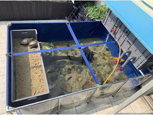 Piscina elevada de interior con panel de visualización para piscicultura casera y jardín 6