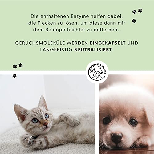 Annimally Enzymreiniger Spray 750ml gegen Katzenurin & Hundeurin XXL Packung - Tier Geruchsentferner gegen Urin Geruch - Enzym Flecken- und Geruchsentferner