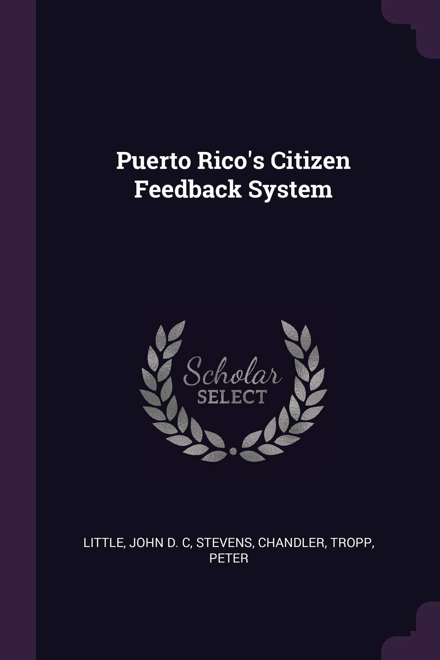 Puerto Rico's Citizen Feedback System