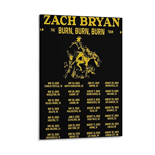 Zach Bryan toile cadre cadeau idéal décoration 50 x 75 cm