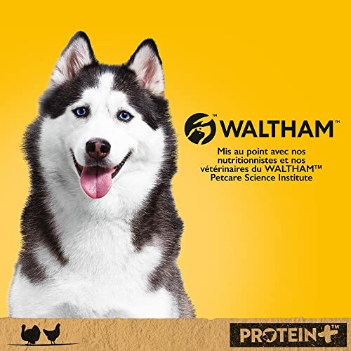 PEDIGREE Dose Protein+ in Pastete mit Truthahn und Huhn 12 x 800g