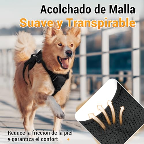 rabbitgoo Arnes Antitirones Perro Grande Mediano Ajustable con Manija de Espalda, Chaleco Acolchado Arnés para Perro Coche Lineas Reflecantes Paseo Fácil para Entrenamiento Tamaño M Negro - imagen 7