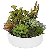 MyGift 8-Inch Artificial Succulent Plant Arrangement with White Ceramic Planter Pot