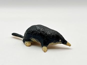 Amazon | 〓FURUTA フルタ〓チョコエッグ 日本の動物 第1弾