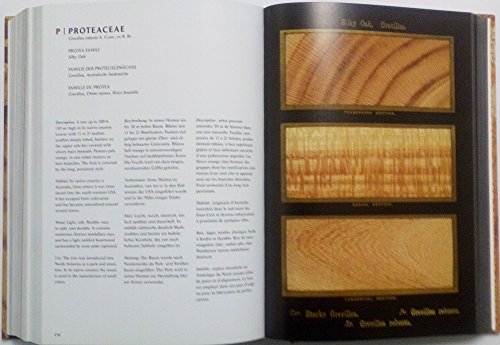 The Woodbook: The American Woods 1883-1913, 1928