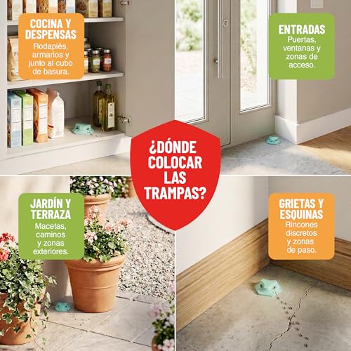 Miniatura 7 de Control Garden Trampa Para Hormigas X4 Cebo Gel Super Atrayente Insecticida Antihormigas Interior Y Exterior Elimina Toda La Colonia Y Hormiga Reina Facil Y Rapido