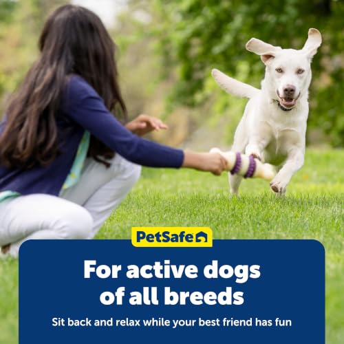 PetSafe Busy Buddy Dog Treat Rings Variety Pack, Medium, Size B, 24 Count - image 6