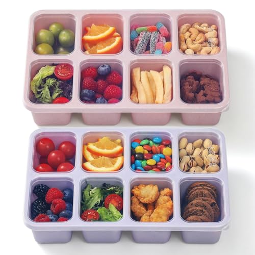 2 Pack Snackle Box Container with Lids, Dishwasher Safe 8 Compartment Divided Snack Serving Tray Platterbox, Protable No-Scatter Snacklebox Snack Container for Adult, Kids, Family, Travel, Party, Work