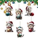 Photo Gallery fyrdyn gatto decorazione natale | 6 pezzi decorazione acrilica 2d divertente - pendente natalizio gatto - per finestra porta soggiorno camera da letto ufficio giardino cortile patio Photo Gallery fyrdyn gatto decorazione natale | 6 pezzi decorazione acrilica 2d divertente - pendente natalizio gatto - per finestra porta soggiorno camera da letto ufficio giardino cortile patio