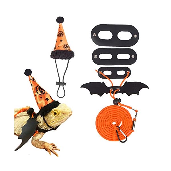 Adoggygo halloween bearded dragon lizard leash harness hat set - bearded dragon clothe halloween pumpkin hat + 3 pack reptile harness leash for bearded dragon lizard reptile (halloween)