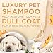TropiClean SPA Lavish Dog Shampoo | Renew Deodorizing Dog Shampoo | Naturally Derived Salon Grade Ingredients | Made in the USA | 1 Gallon
