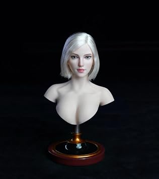 1/6 Scale Female Head Sculpt Asian Girl Pale Skin Head Sculpture 12" PH TBL JO Worldbox Action Figure Gray Hair