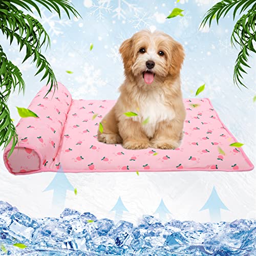 The Most Rated Best Dog Beds For Summer Reviews & Analysis BNB