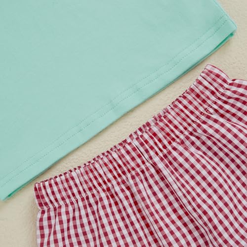 Image of Bonangber Toddler Baby Boy Summer Clothes Fruits Embroidery Short Sleeve T Shirt Plaid Shorts Sets Cute Boys Summer Outfits