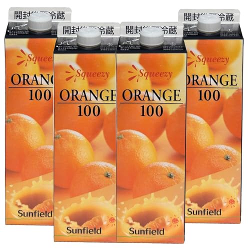 Oc XNC[W[ W[X iTtB[h XNC[W[jʏ`100W[X 1000ml×IW4{Zbg