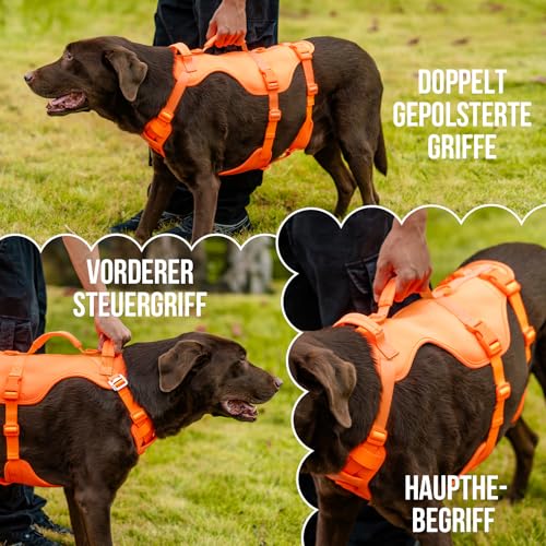 Arblina Hundegeschirr, Sicherheitsgeschirr Hund für Mittelgroße/Große Hunde, Hundegeschirr Ausbruchsicher mit Doppelt Griff, Leichte No Escape Panikgeschirr für Hunde, Orange M