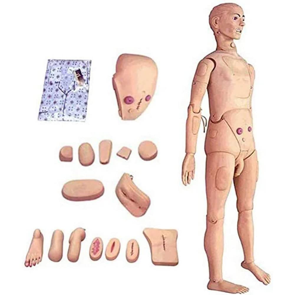YNIYUJKL Professional Male Patient Care Manikin Female 170Cm Life Size Human Model For Doctor Nursingnursing Skills Training