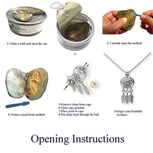 Pearlina Dream Catcher Cultured Pearl Oyster Necklace Set Silver-Tone Cage W/Stainless Steel Chain 18" #TOP3