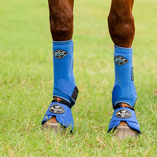 Image of Professional's Choice 2XCOOL Sports Medicine Horse Boots | Protective & Breathable Design for Ultimate Comfort, Durability & Cooling in Active Horses | 2 Pack Medium Royal Blue