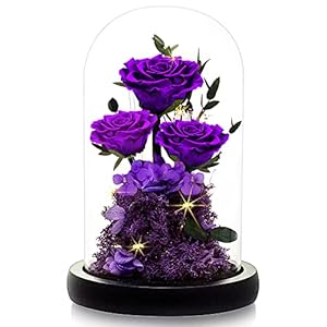 DENIMOMO Mothers Day Rose Flowers Gifts for Mom,Forever Preserved Roses in Glass Dome, Anniversary Birthday Real Roses Gifts for Women Wife Mom Girlfrien Grandma/Purple