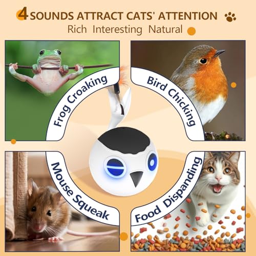 ORSDA-Cat-Toys-Interactive-Cat-Toys-for-Indoor-Cats-Automatic-Moving-Ball-Bird-for-Bored-Indoor-Adult-Cat-Kitten-Toys-Ball-Motion-Activated-Fast-Moving-Chirping-Stimulating-Light