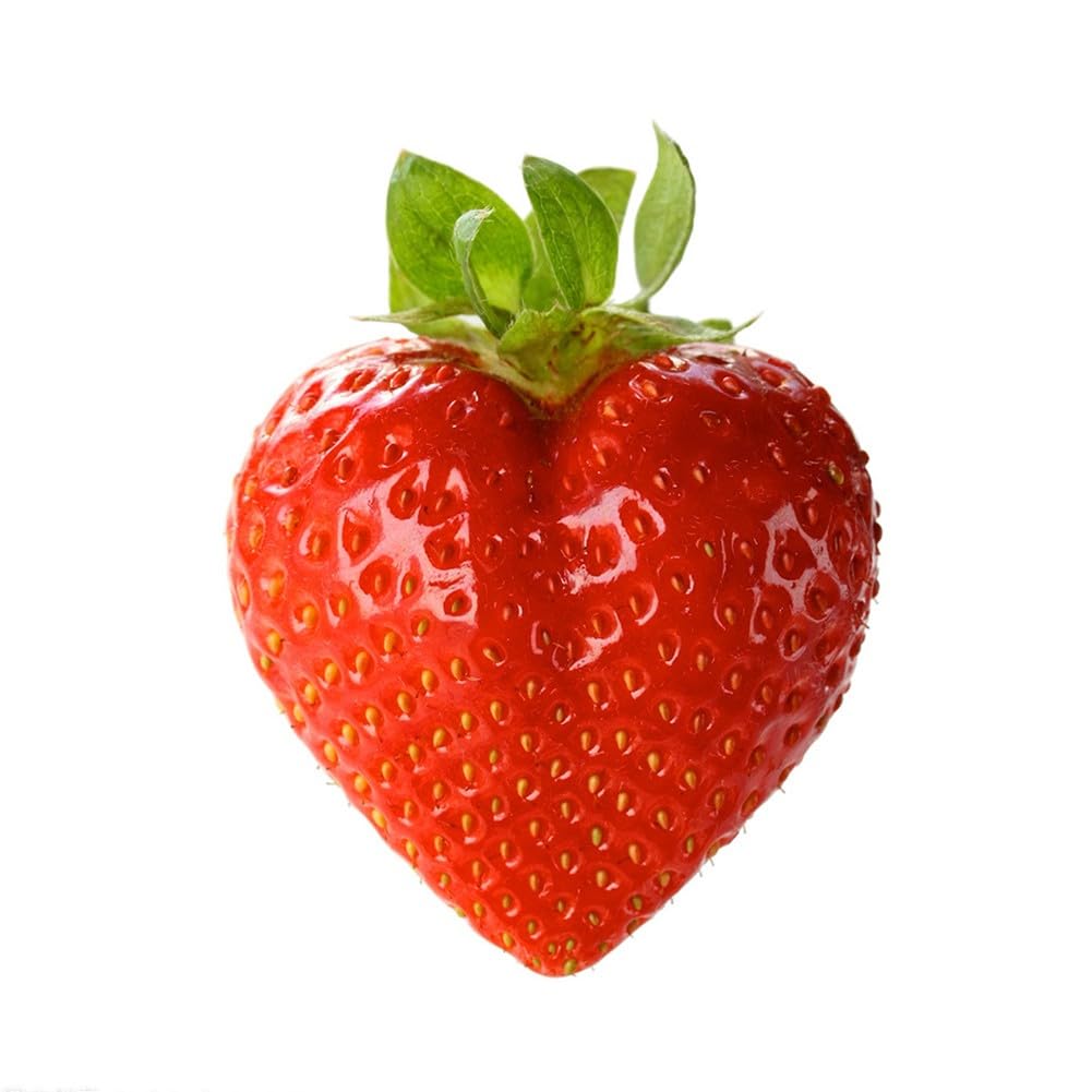 Moldeador de frutas de plástico para cultivar pera, sandía, limón, tomate, jardín, al aire libre, herramienta de formación de verduras, transparente