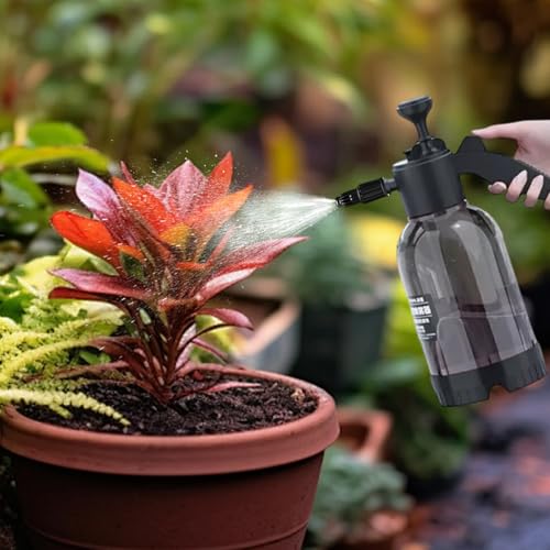 DAWCBVJQ J[p tH[ Xv[ {g - 2bg nhvX Xv[{g | Ap e - ԗAybgN[jOAK[fApeBIAAŐA_p