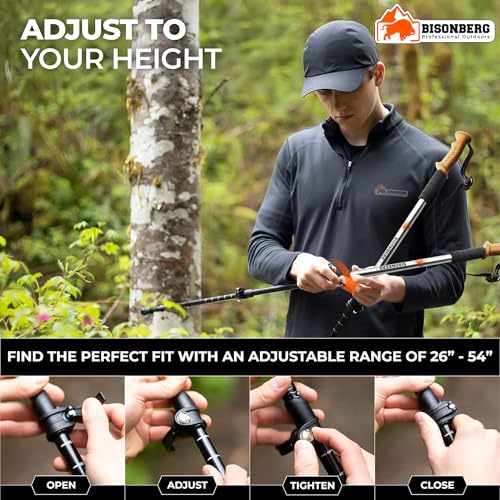 Image of BISONBERG Trekking Pole, 65-130 cm Adjustable Height, Stainles Steel Walking Stick with EVA Handle