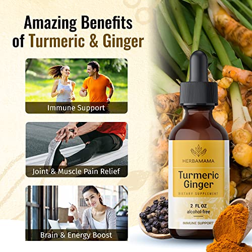 Herbamama Organic Liquid Drops Kit - Bundle Of Elderberry Liquid Extract, Turmeric W/Black Pepper Ginger Tincture, & Ashwagandha Extract - Natural Herbal Supplement Non Gmo Alcohol-Free - 3 Pack #TOP6