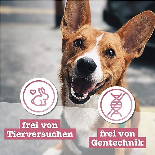 Chewies Fleischstreifen Maxi aus 100% Lamm - 150 g - Fleischstreifen für Hunde - getrocknete Lammfleisch Kaustreifen - hypoallergen & getreidefrei - Dörrfleisch vom Lamm