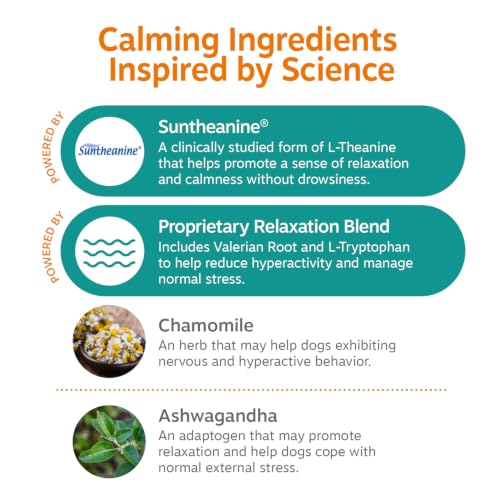 Image of Zesty Paws Calming Chews for Dogs - for Everyday Stress, Relaxation, Composure, and Separation, Puppy Bites Turkey 90 Count