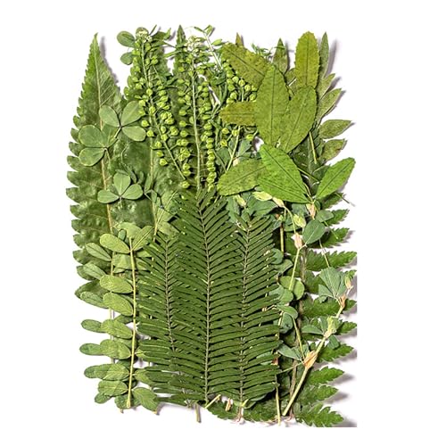 i`vXtAZbgXNbvubLOWG[쐬tHgt[dbP[XubN}[NvWFNg